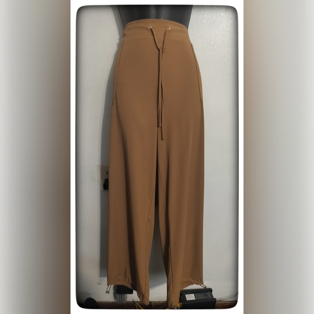 Style & Co. Caramel Kiss Utility Pants Sz 2X NWT